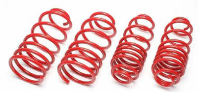 BMW 3-serie E46 Verlagingsveren