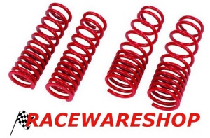 raceware verlagingsveren